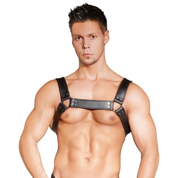 ZADO Lder Bryst Harness